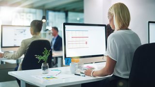 Generische Officeszene: Frau sitzt vor Bildschirm Kachel Vorschau