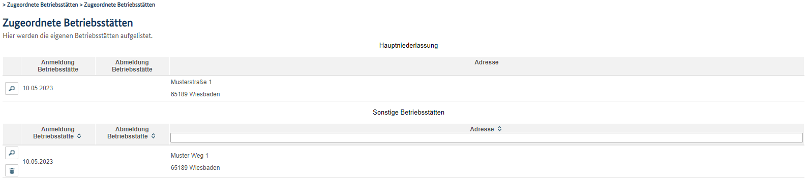 &Uuml;bersichtsseite zugeordnete Betriebsst&auml;tten mit Listen der Hauptniederlassung und sonstigen Betriebsst&auml;tten sowie Schaltfl&auml;chen zum &Ouml;ffnen und L&ouml;schen einer Betriebsst&auml;tte.